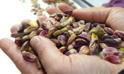 Fıstıkta ithalata tepki: "Fıstıkta ithalat kapısı kapatılsın" talebi!