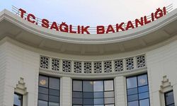 Sağlık Bakanlığı’dan 81 ile talimat: "Hastanelerde sahipsiz hayvan olmayacak"