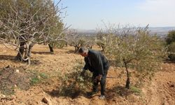 Gaziantep'te Çiftçilerin Umudu Bahar Yağmurlarında