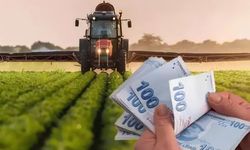 Çiftçilere 274 milyon 805 bin liralık tarımsal destek verilecek