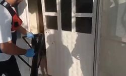 ‘Çakallar' ve ‘Tokuçlar' suç örgütlerine operasyon!