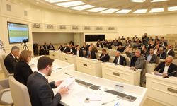 BÜYÜKŞEHİR BELEDİYESİ MECLİS KARARLARI İNCELEME RAPORU