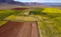 T.C. NİZİP BELEDİYE BAŞKANLIĞI İMAR VE ŞEHİRCİLİK MÜDÜRLÜĞÜ İHALE İLANI