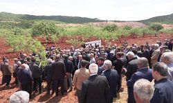 TZOB Başkanı Bayraktar, zirai dondan etkilenen bahçeleri inceledi