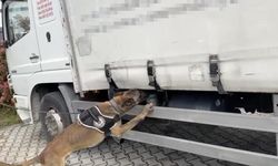Narkotik köpeği tepki verdi, klimaların arasından binlerce uyuşturucu çıktı