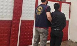 Cezaevi firarisi düğün salonunda saz çalarken yakalandı