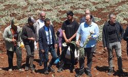 Gaziantep’te Dünya Çiftçiler Günü sarımsak tarlasında kutlandı