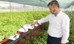 Gaziantep'te topraksız tarım uygulaması yaygınlaşıyor
