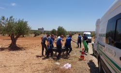 Gaziantep'te bir genç zeytin tarlasında ölü bulundu