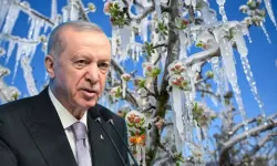 Cumhurbaşkanı Erdoğan uyardı: Bazı meyveleri yiyemeyeceğiz