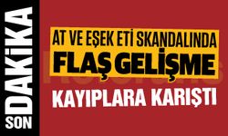 Gaziantep’te at ve eşek eti skandalında flaş gelişme! Firmayı kapatıp…
