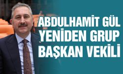Abdulhamit Gül, yeniden Grup Başkanvekili
