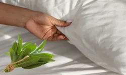 Hıdırellez gecesi defne yaprağı ritüeli nedir? Dileğinizin gerçekleşmesi için yastık altına koyun!