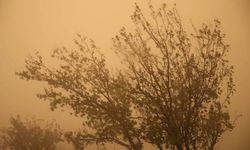 Meteorolojiden Güneydoğu'da bazı iller için toz taşınımı uyarısı