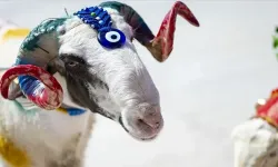 Kurban Kesmek Farz mı Vacip mi, Kesmeyen Günahkâr Olur mu?