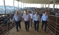 Gaziantep’te Kurban Bayramı öncesi sıkı tedbir! Ekipler Görev Başında olacak…