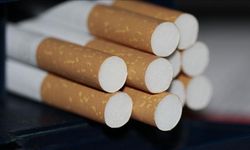 Türkiye'de sigara günlük yaklaşık 300 kişinin ölümüne neden oluyor
