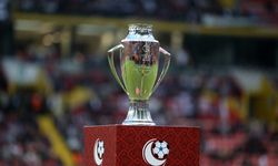 Vanspor FK 1. Lig'e yükseldi