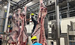 Kist hidatik riskine karşı sakatat uyarısı
