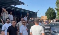 Kurban Bayramı'nda çiftlikte kartonlu hissedar arayışı
