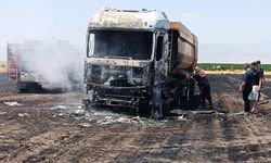 Anız yangını milyonluk tırı kül etti