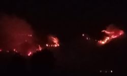 Anız ve orman yangını geceyi aydınlattı, TOMA ile müdahale devam ediyor