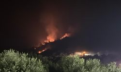 Yangın yerleşim yerlerini tehdit etmeye devam ediyor