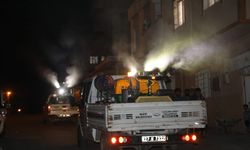 Nizip'te ilaçlama ekipleri sahada olacak