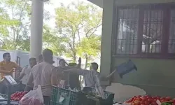 Gaziantep'te Pazarcılar Arasında Silahlı Kavga! Yaralılar Var