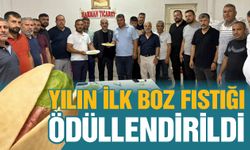 Gaziantep’te yılın ilk boz fıstığı ödüllendirildi