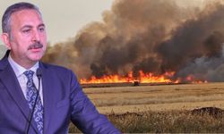 Abdulhamit Gül’den Araban yangınları ile ilgili açıklama