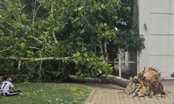 Gaziantep'te Fırtına Hayatı Felç Etti