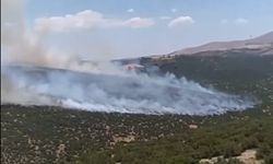 Gaziantep’te orman yangını! Tüm ekipler seferber oldu…