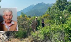 Yayla yolunda kaybolmuştu!  Yaşlı adam her yerde aranıyor