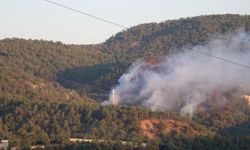 Türkiye yangınla mücadele ediyor: Bolu'da orman yangını!