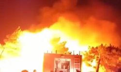 Hatay'da orman yangını