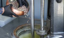 Gaziantepliler dondurmacılara akın ediyor! Antep fıstıklı dondurma favori oldu