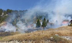 Türkiye’nin ciğerleri yanıyor! Antalya’da orman yangını