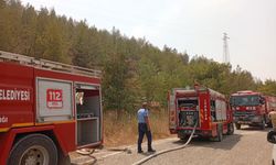 Gaziantep'te mesire alanında yangın!