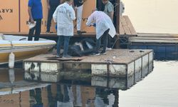 Kayıp şahsın cansız bedeni Fırat Nehri'nde bulundu