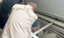 Gaziantep’teki düğünde davetliler zehirlenmişti! Tarım ve Orman İl Müdürlüğünden flaş açıklama! O işletmeye ceza