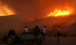 Uzmanı uyardı! Orman yangınlarıyla artan hava kirliliğine karşı önlem alınmalı!