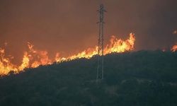 Marmaris’teki büyük orman yangını! Bakan Yumaklı son durumu açıkladı! 7 uçak ve 17 helikopterle müdahale ediliyor
