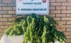 Gaziantep’te zehir tacirlerine operasyon! Jandarmadan kaçamadılar…