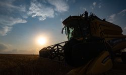 Tarımsal destek kalemleri bugün yatırıldı