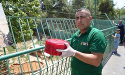 Gaziantep Doğal Yaşam Parkı'nda buzlu kokteyllerle serinliyorlar