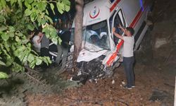 Kamyonetin çarptığı ambulans bahçeye uçtu: 5 yaralı
