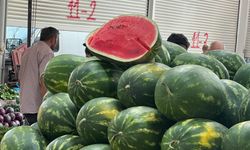 Yapay zeka pazara indi, karpuz seçimine başladı