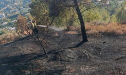 Orman yangını büyümeden kontrol altına alındı