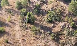 Katliam gibi kaza! Minibüs uçuruma yuvarlandı: Çok sayıda ölü ve yaralı var